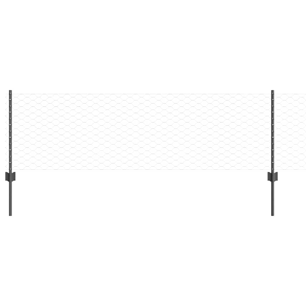 Recinzione con Posto Grigio 0,6 x 10 m Acciaio e PVC