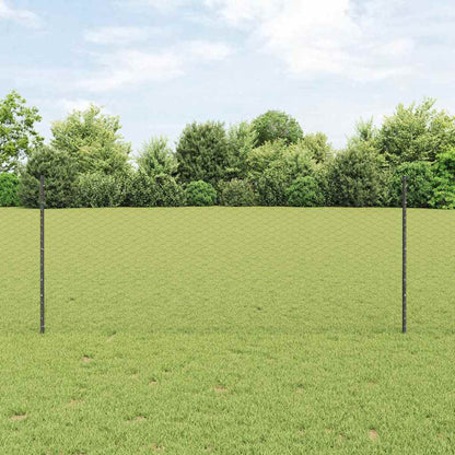 Recinzione con Posto Grigio 0,8 x 10 m Acciaio