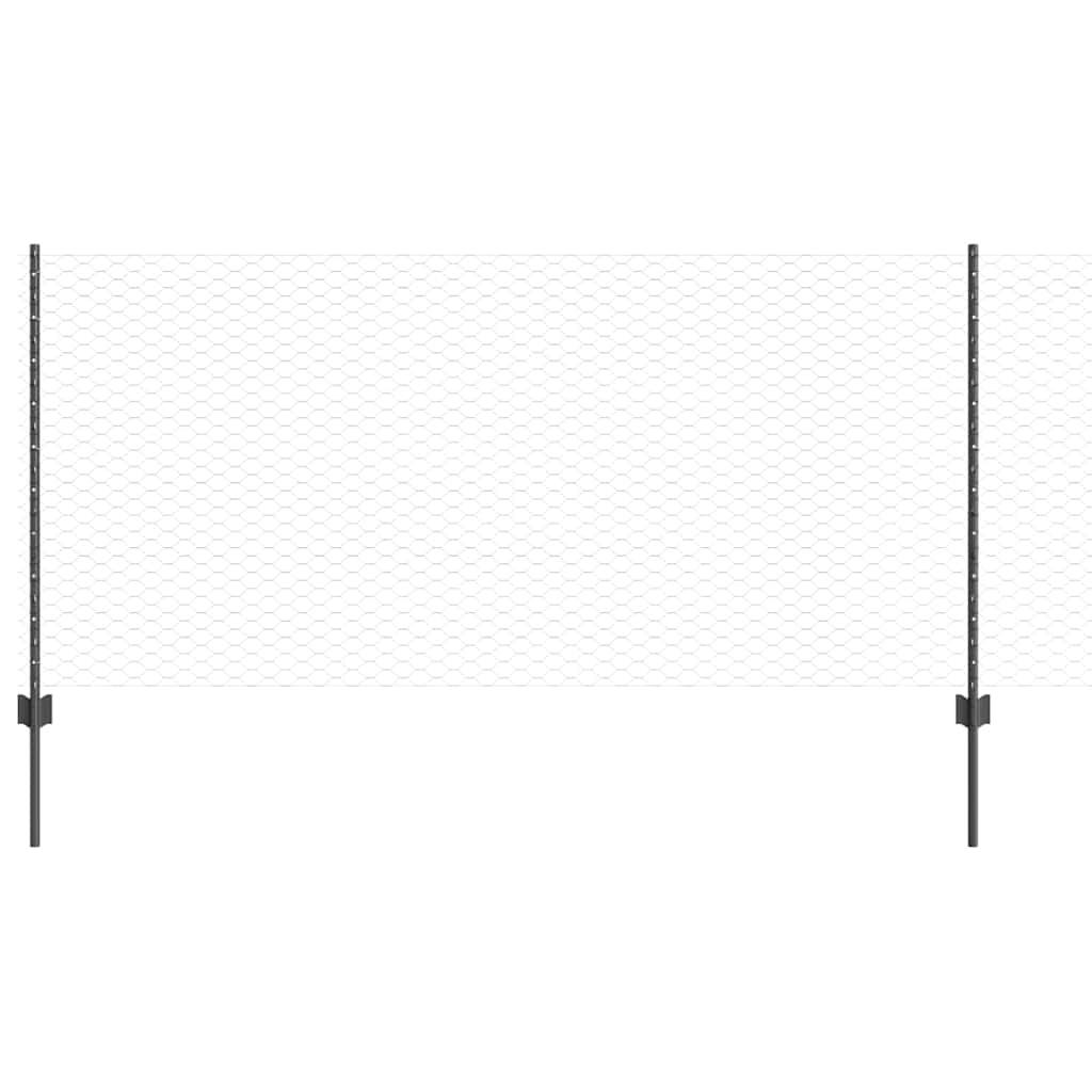 Recinzione con Posto Grigio 0,8 x 10 m Acciaio