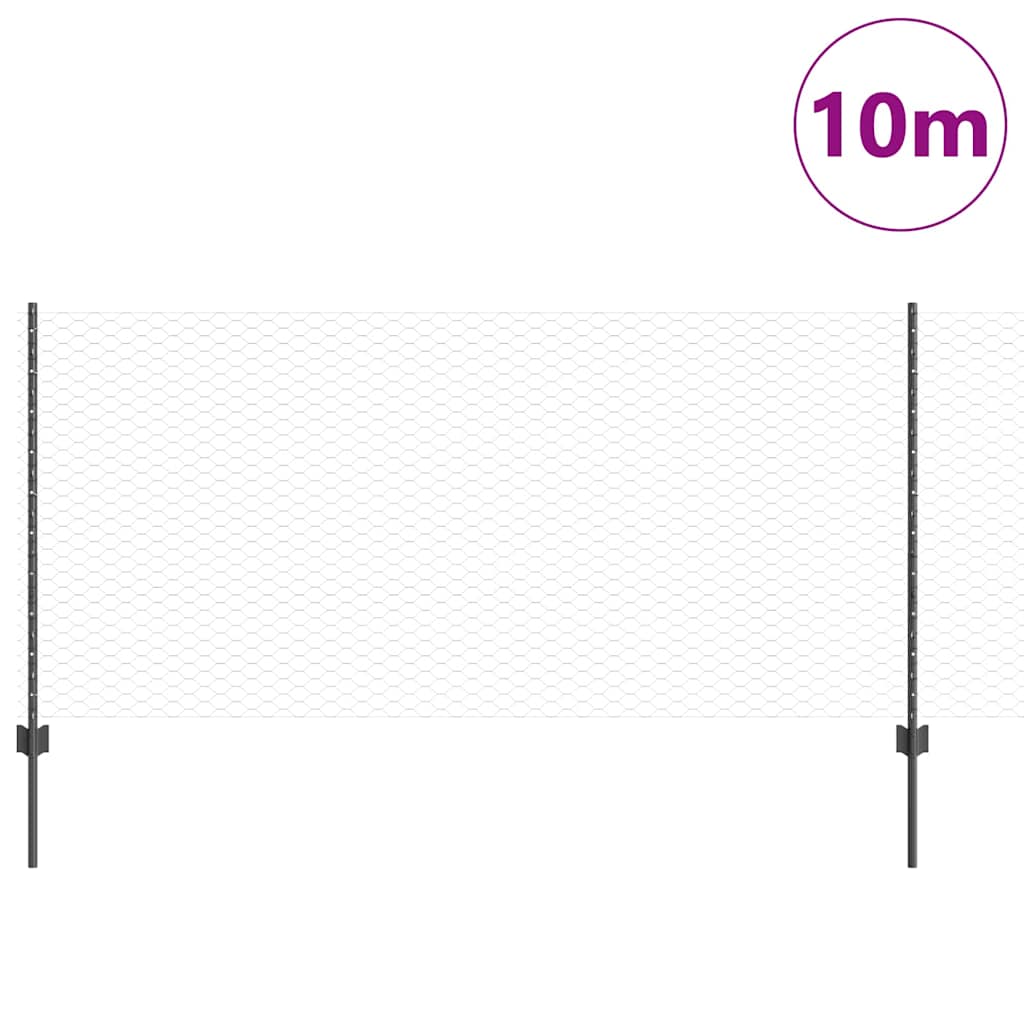 Recinzione con Posto Grigio 0,8 x 10 m Acciaio