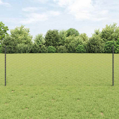 Recinzione con Posto Grigio 0,8 x 10 m Acciaio e PVC