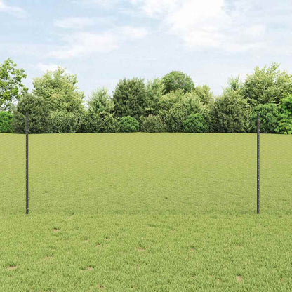 Recinzione con Posto Grigio 1 x 10 m Acciaio e PVC