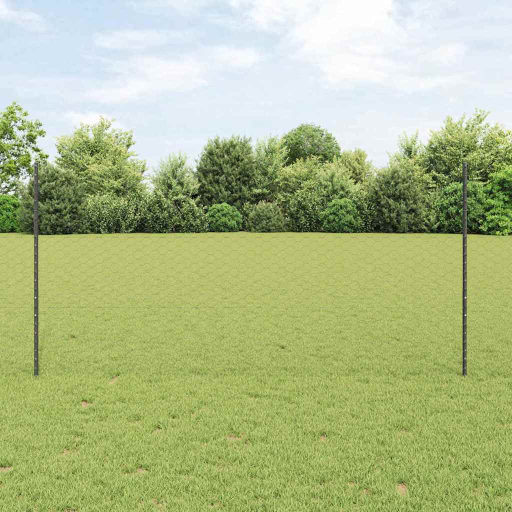 Recinzione con Posto Grigio 1,2 x 10 m Acciaio e PVC