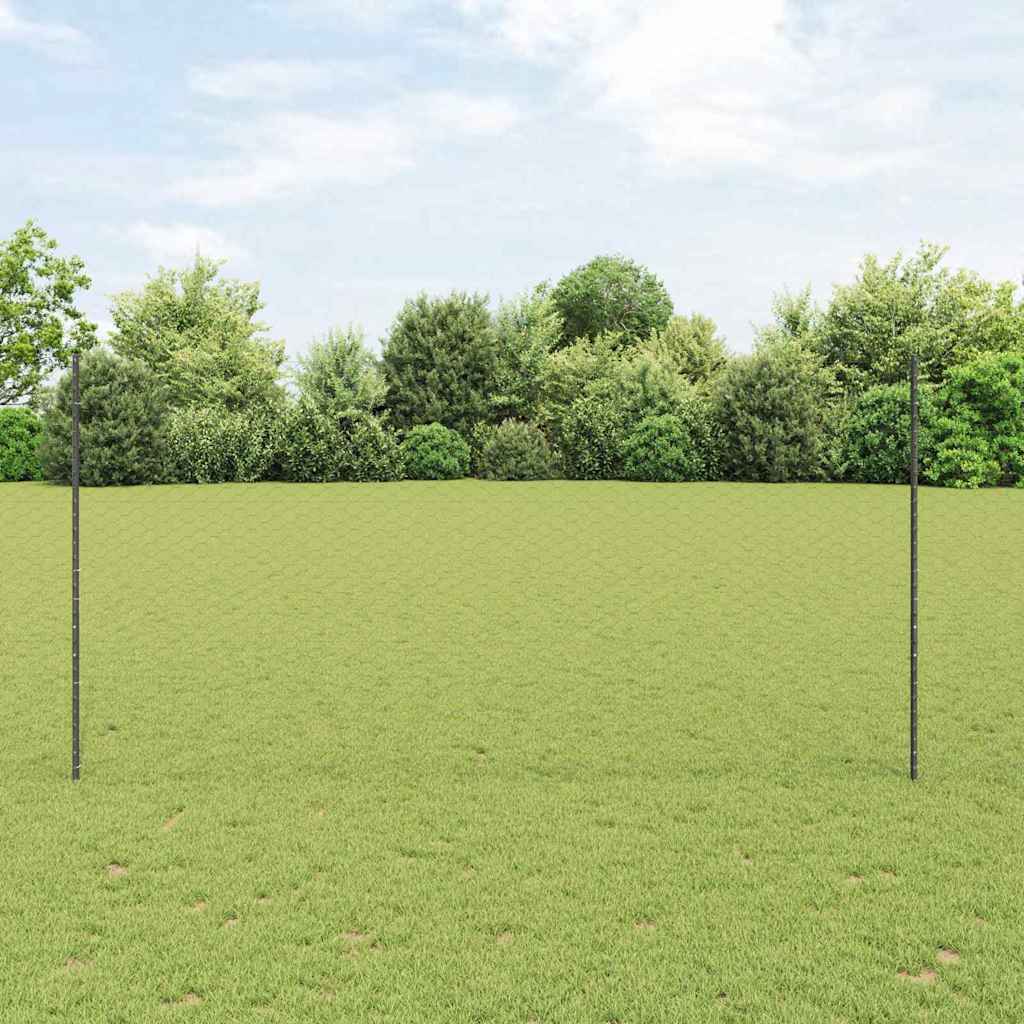 Recinzione con Posto Grigio 1,5 x 10 m Acciaio e PVC