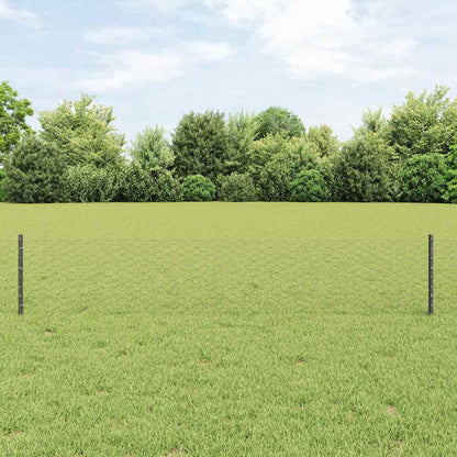 Recinzione con Posto Grigio 0,4 x 25 m Acciaio