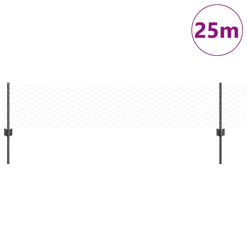 Recinzione con Posto Grigio 0,4 x 25 m Acciaio