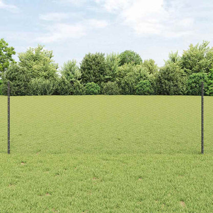 Recinzione con Posto Grigio 0,8 x 25 m Acciaio
