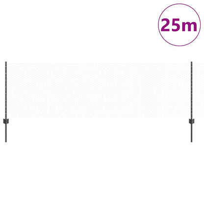 Recinzione con Posto Grigio 0,8 x 25 m Acciaio