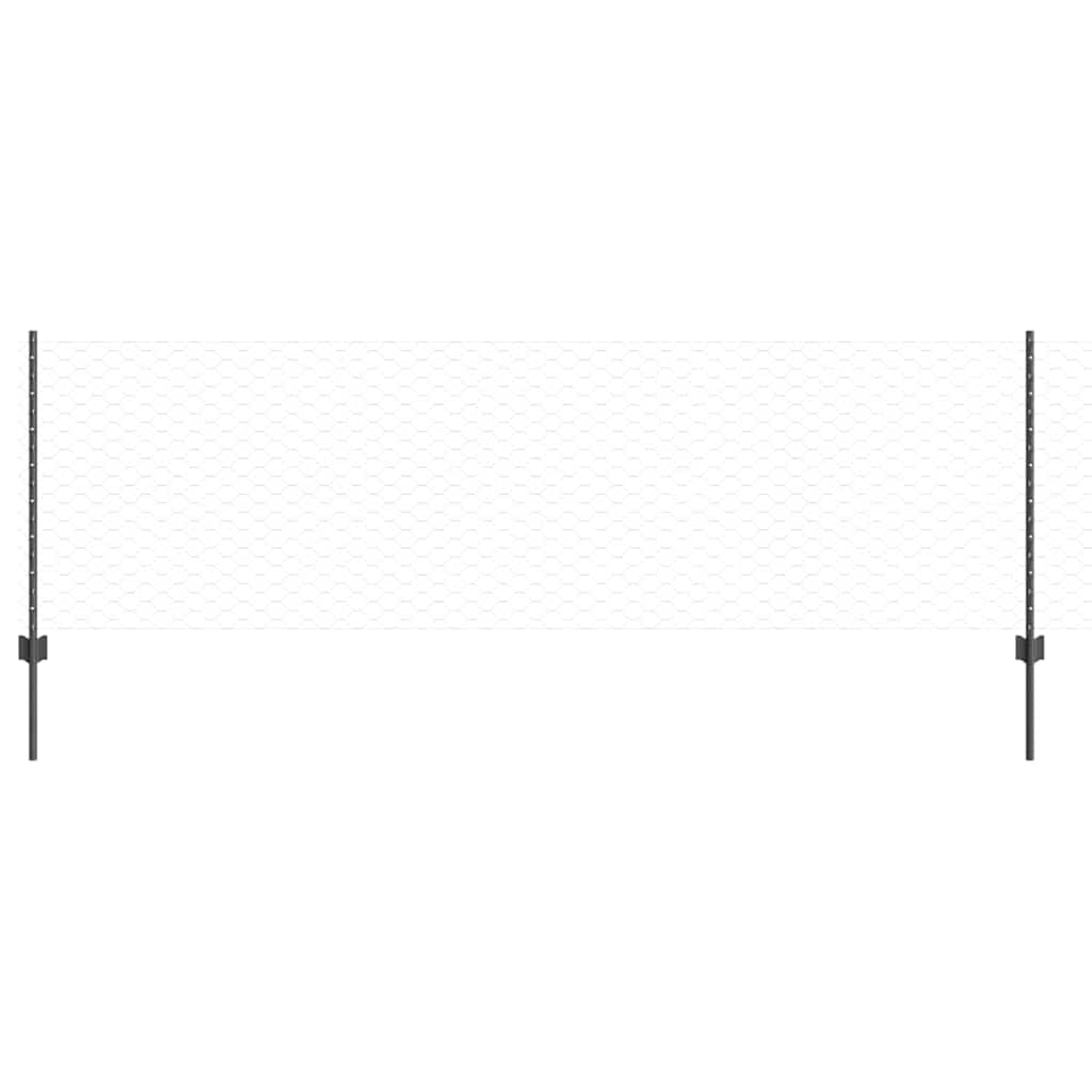 Recinzione con Posto Grigio 0,8 x 25 m Acciaio
