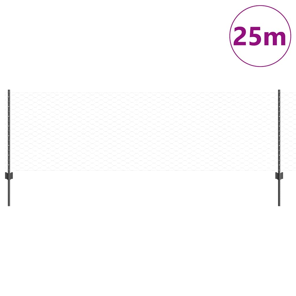 Recinzione con Posto Grigio 0,8 x 25 m Acciaio