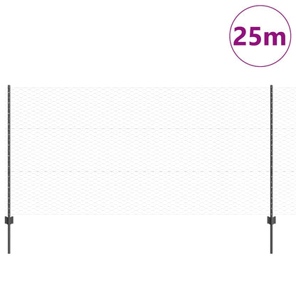 Recinzione con Posto Grigio 1,2 x 25 m Acciaio