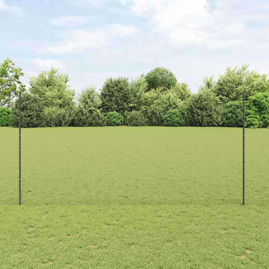 Recinzione con Posto Grigio 1,5 x 25 m Acciaio