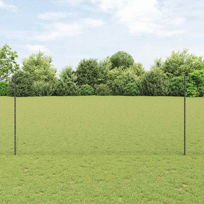 Recinzione con Posto Grigio 1,4 x 100 m Acciaio e PVC