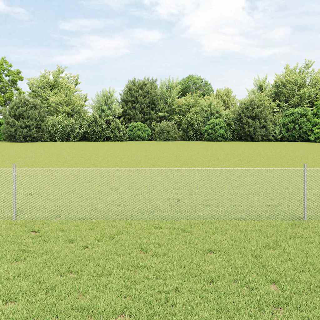 Recinzione con Posto Argento 0,4 x 10 m Acciaio