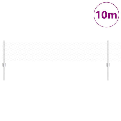 Recinzione con Posto Argento 0,4 x 10 m Acciaio