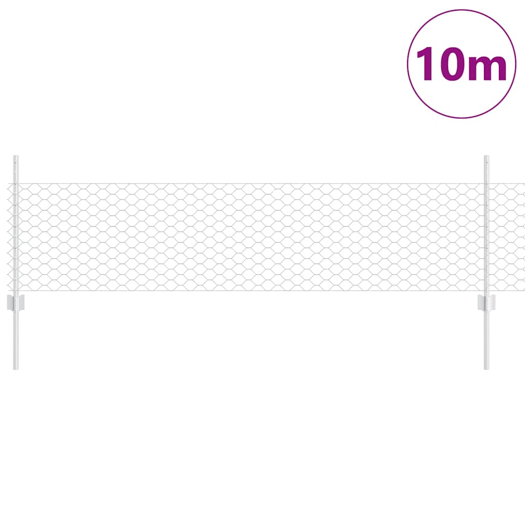 Recinzione con Posto Argento 0,5 x 10 m Acciaio