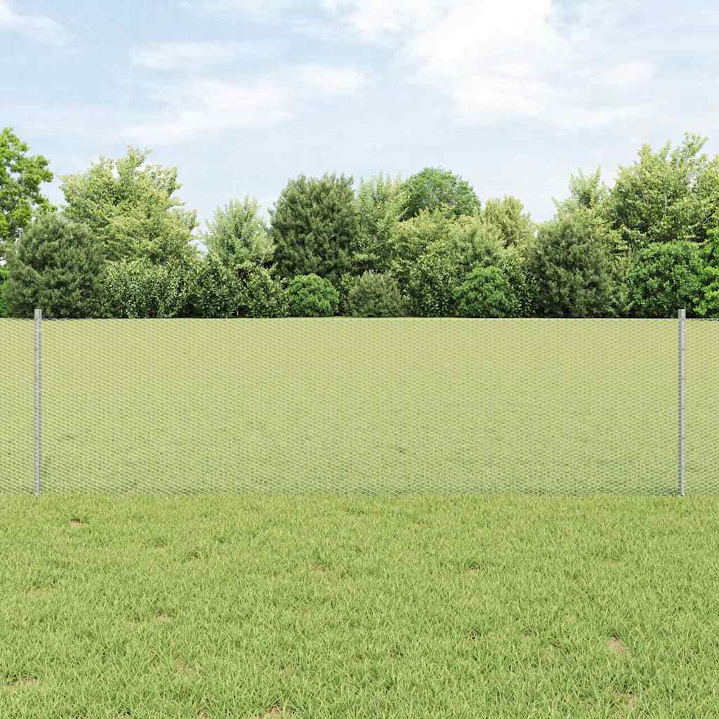 Recinzione con Posto Argento 0,6 x 10 m Acciaio