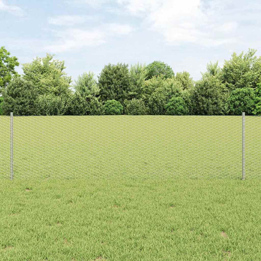 Recinzione con Posto Argento 0,6 x 10 m Acciaio
