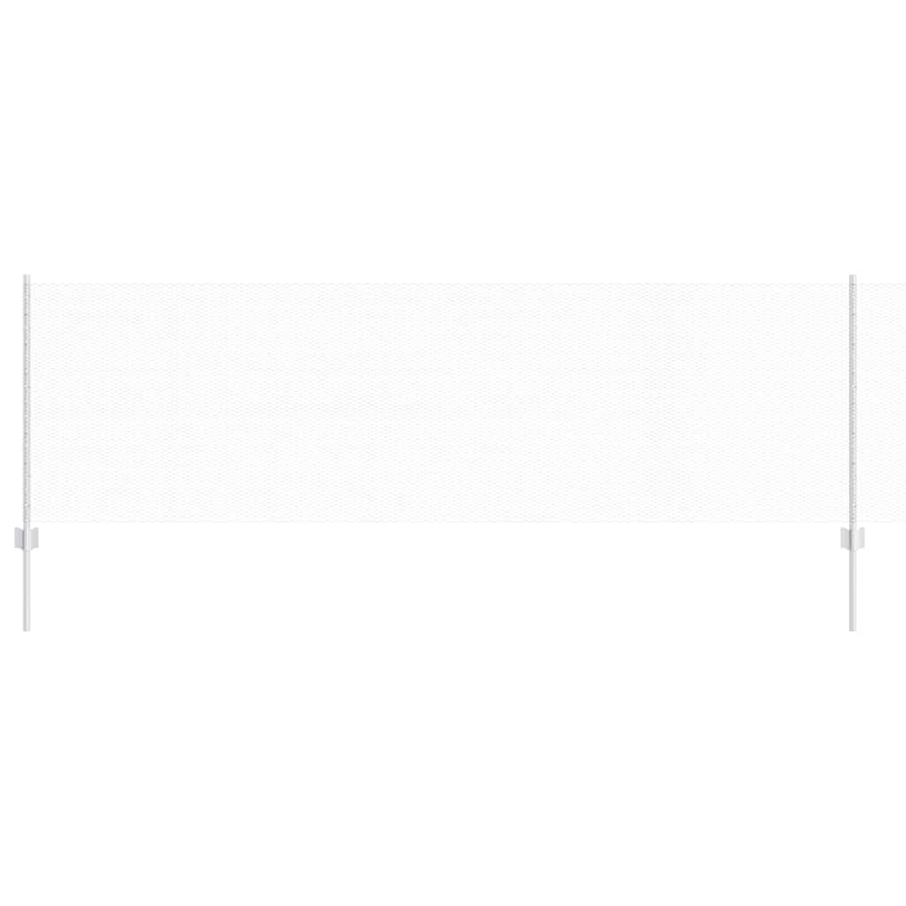 Recinzione con Posto Argento 0,8 x 10 m Acciaio