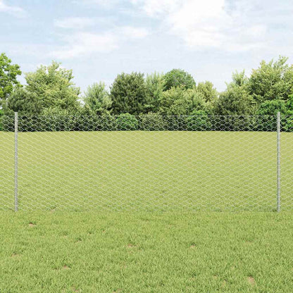 Recinzione con Posto Argento 0,8 x 10 m Acciaio