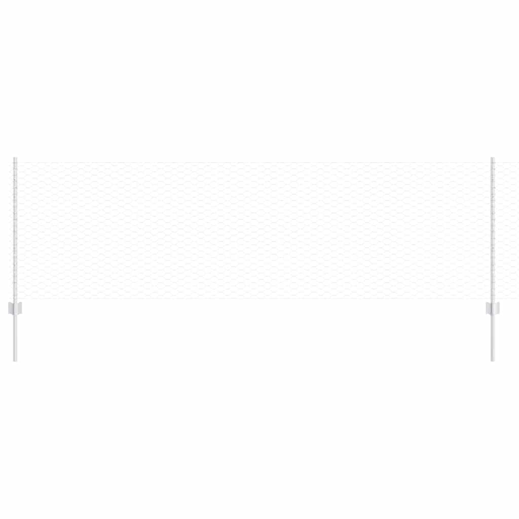 Recinzione con Posto Argento 0,8 x 10 m Acciaio