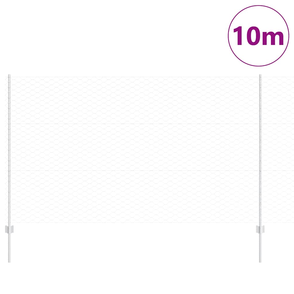 Recinzione con Posto Argento 1,4 x 10 m Acciaio