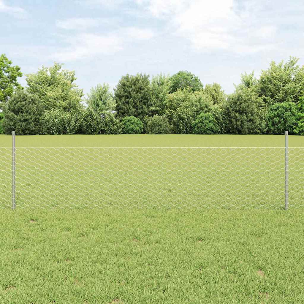 Recinzione con Posto Argento 0,5 x 25 m Acciaio