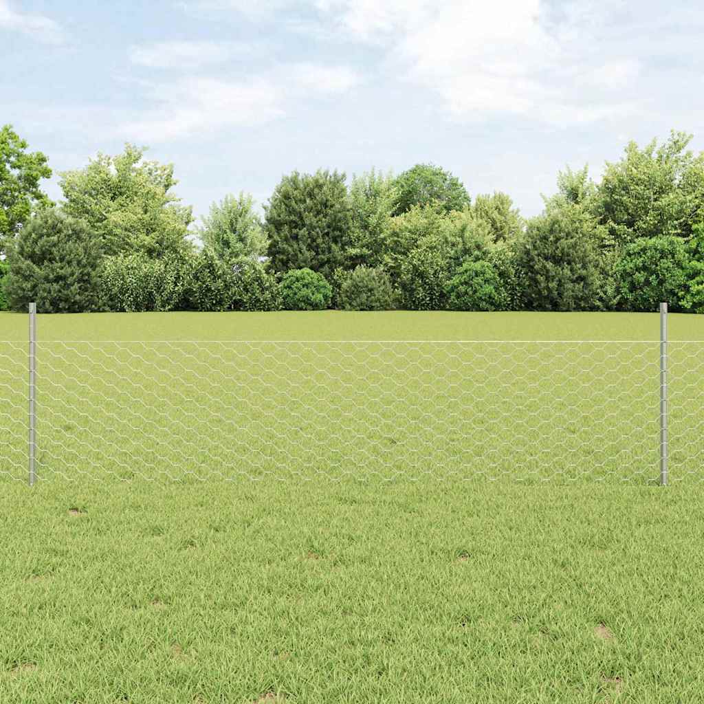 Recinzione con Posto Argento 0,5 x 25 m Acciaio