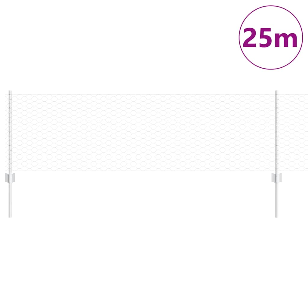 Recinzione con Posto Argento 0,6 x 25 m Acciaio