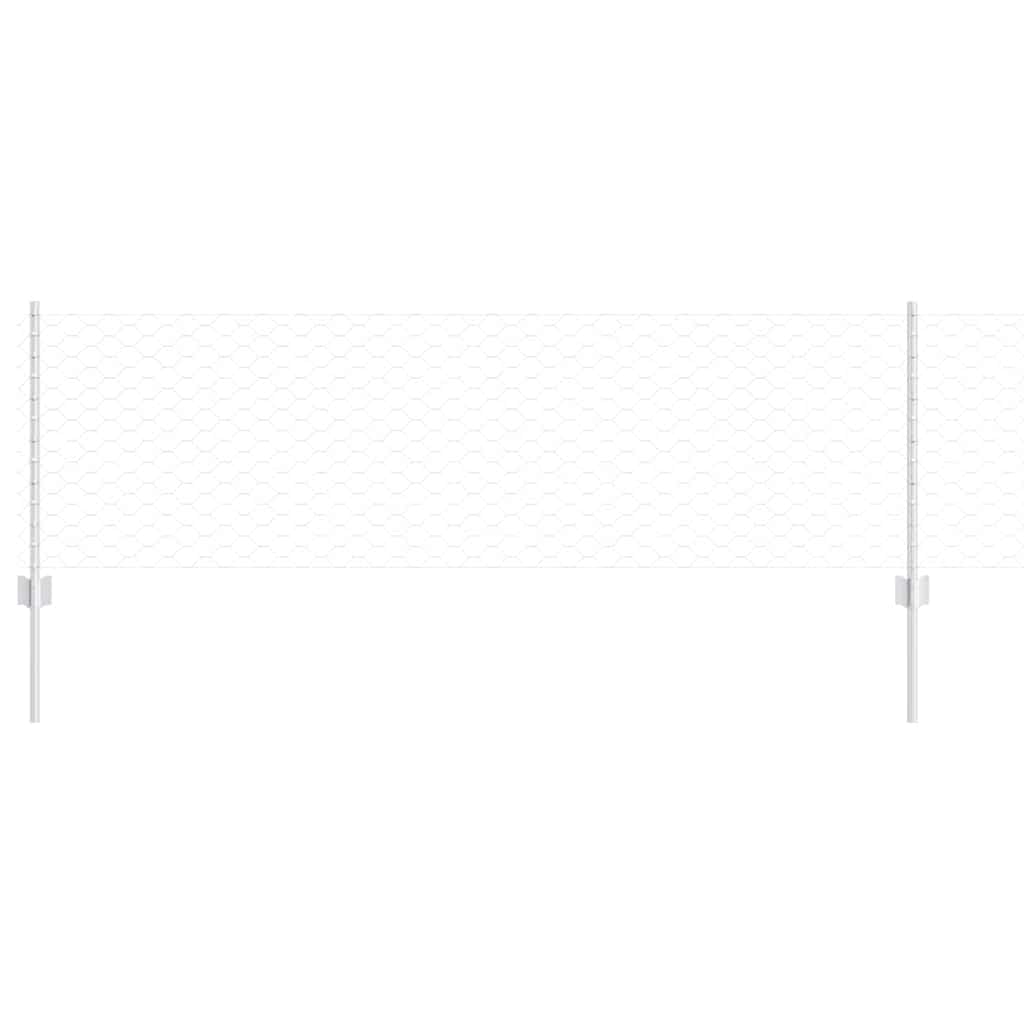 Recinzione con Posto Argento 0,6 x 25 m Acciaio