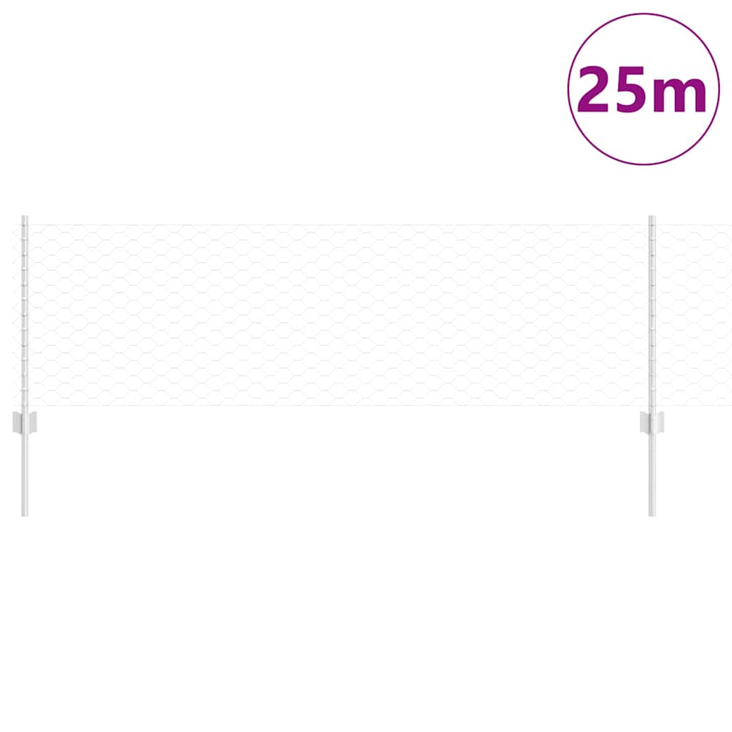 Recinzione con Posto Argento 0,6 x 25 m Acciaio