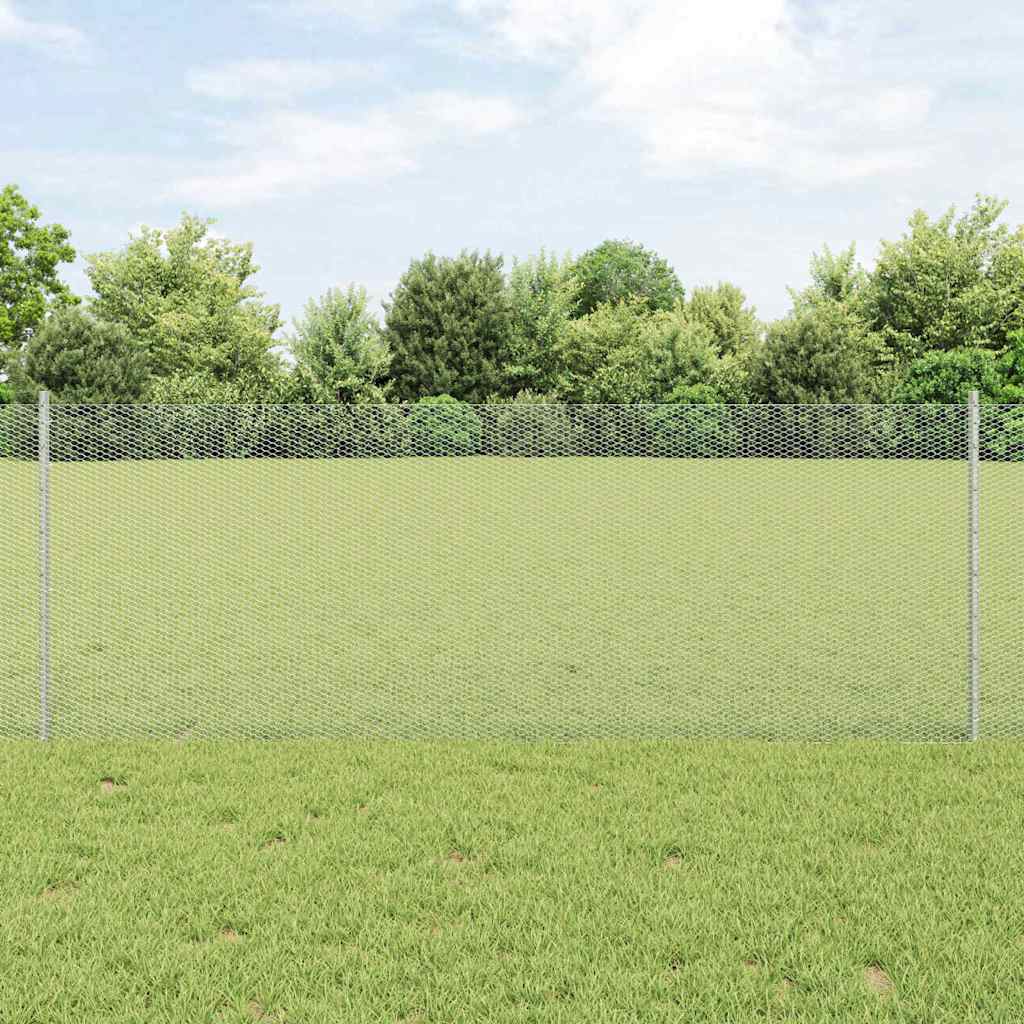 Recinzione con Posto Argento 0,8 x 25 m Acciaio