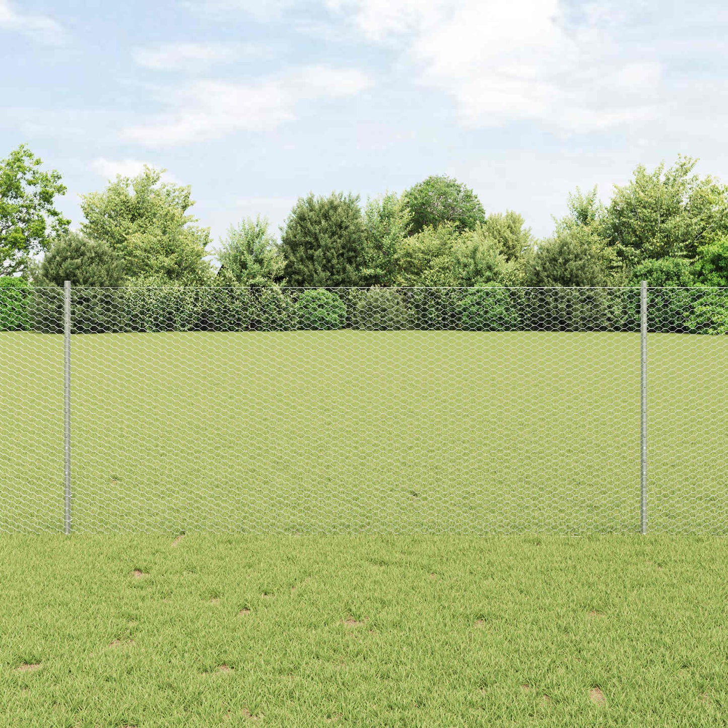 Recinzione con Posto Argento 1 x 25 m Acciaio
