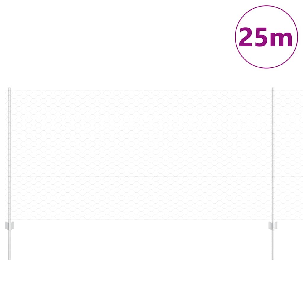 Recinzione con Posto Argento 1,2 x 25 m Acciaio