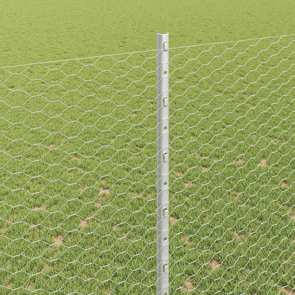 Recinzione con Posto Argento 1,6 x 25 m Acciaio