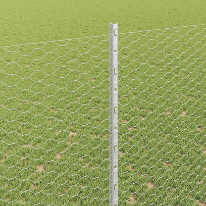 Recinzione con Posto Argento 1,6 x 25 m Acciaio