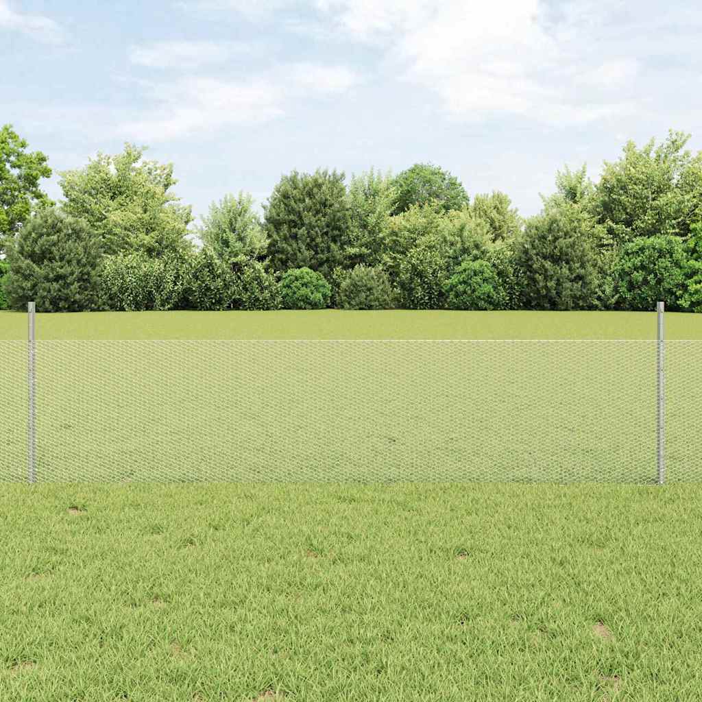 Recinzione con Posto Argento 0,5 x 50 m Acciaio