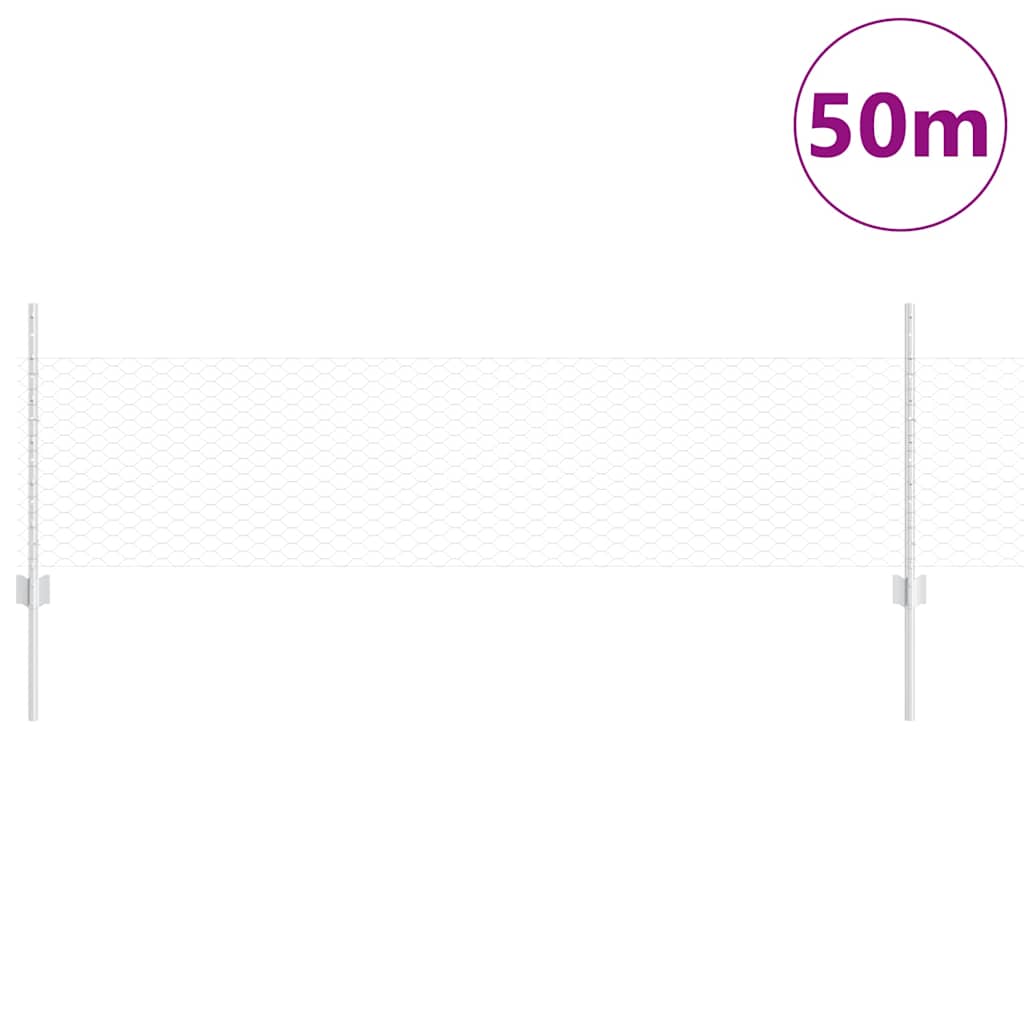 Recinzione con Posto Argento 0,5 x 50 m Acciaio