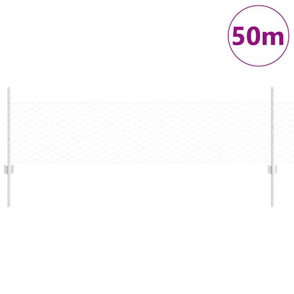 Recinzione con Posto Argento 0,5 x 50 m Acciaio