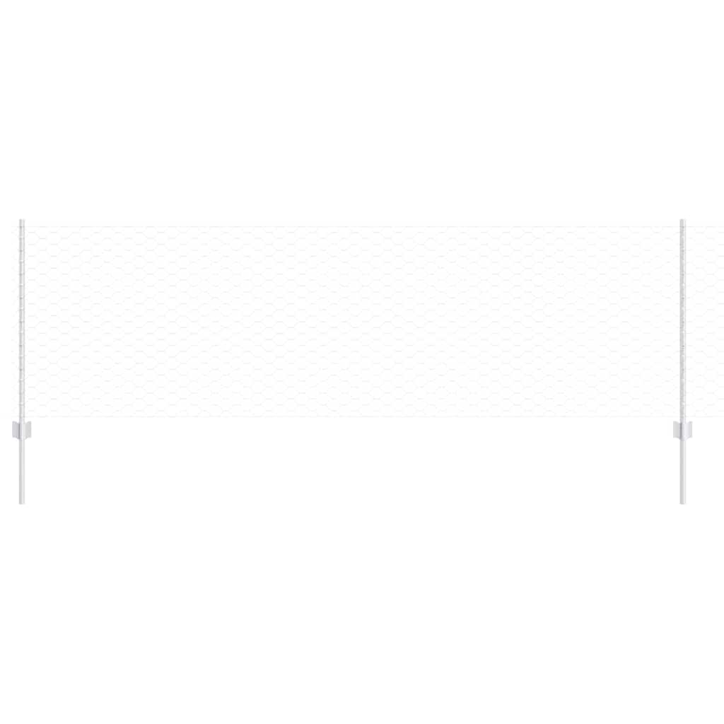 Recinzione con Posto Argento 0,8 x 50 m Acciaio