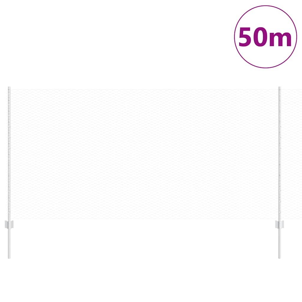 Recinzione con Posto Argento 1,2 x 50 m Acciaio