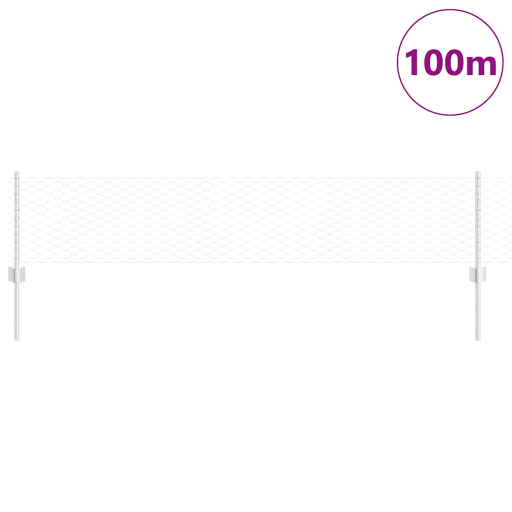 Recinzione con Posto Argento 0,4 x 100 m Acciaio