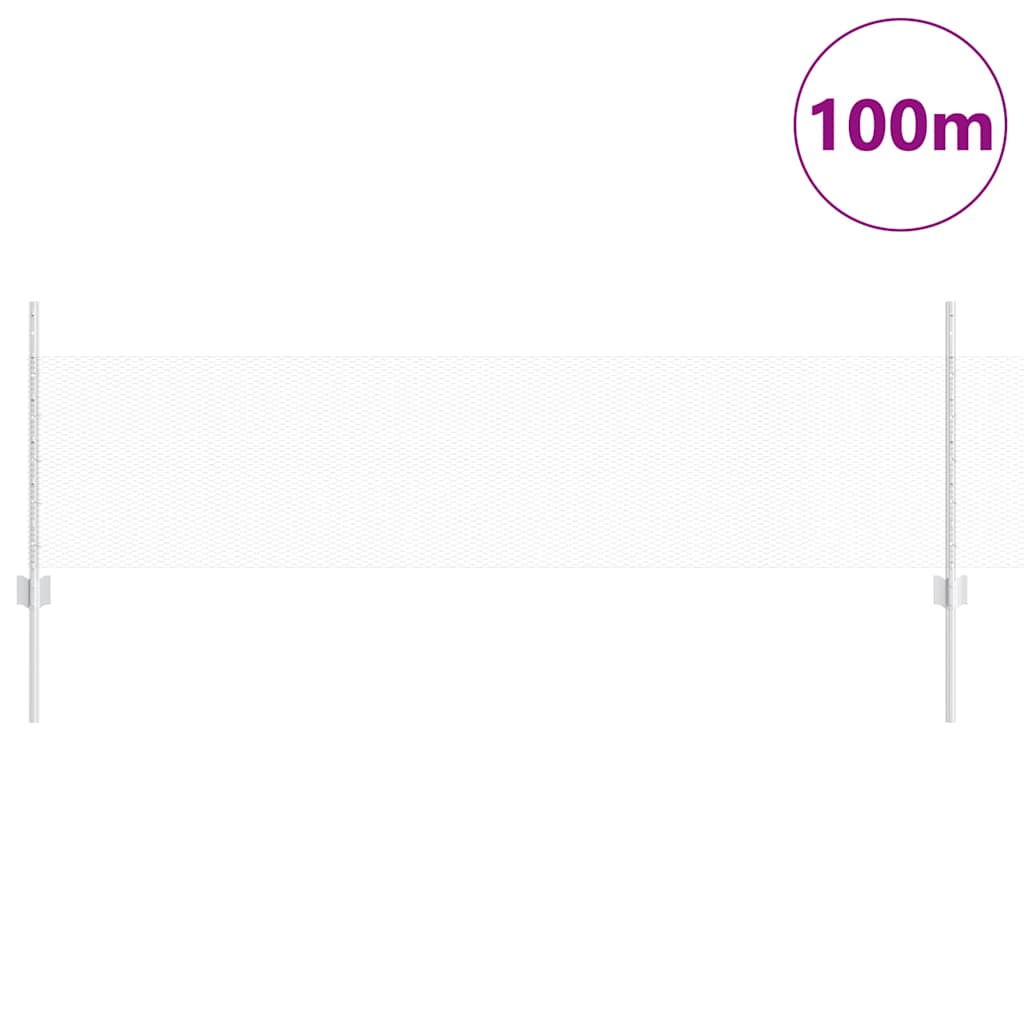 Recinzione con Posto Argento 0,5 x 100 m Acciaio
