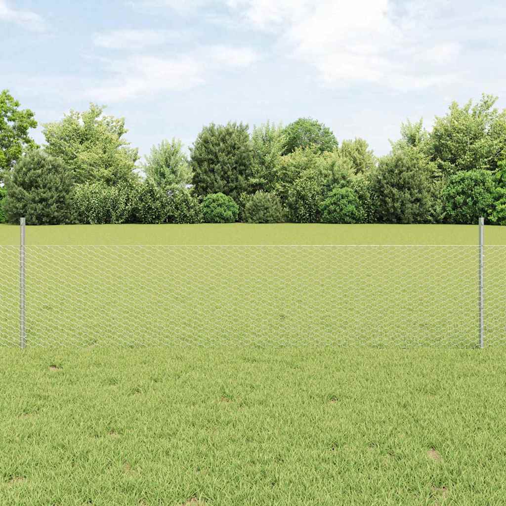 Recinzione con Posto Argento 0,5 x 100 m Acciaio