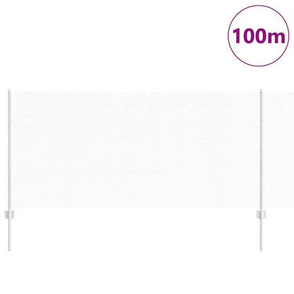 Recinzione con Posto Argento 1 x 100 m Acciaio