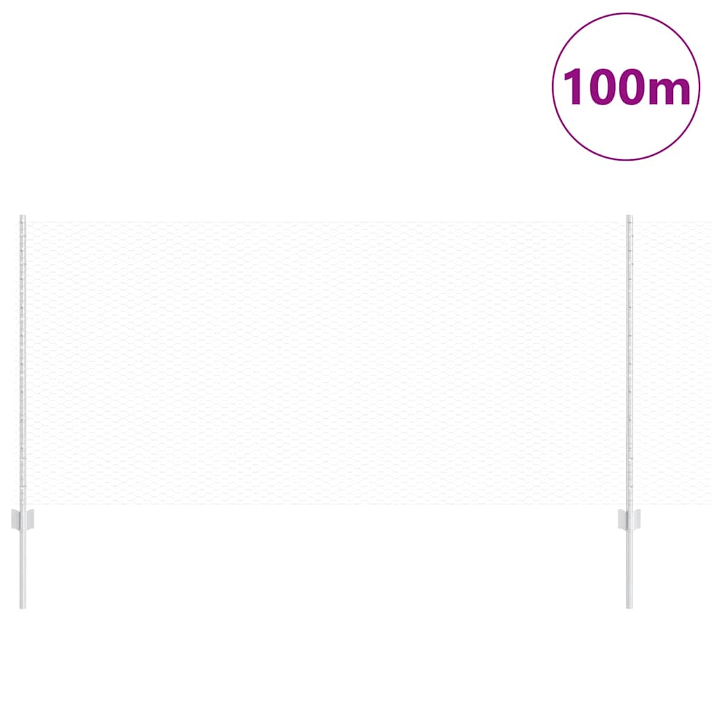 Recinzione con Posto Argento 1 x 100 m Acciaio