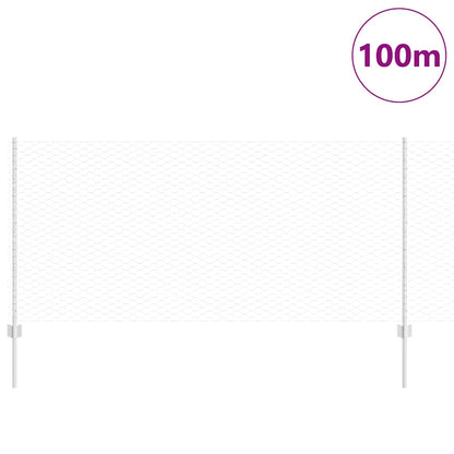 Recinzione con Posto Argento 1 x 100 m Acciaio