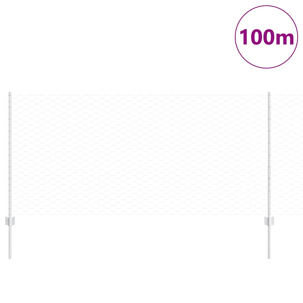 Recinzione con Posto Argento 1 x 100 m Acciaio