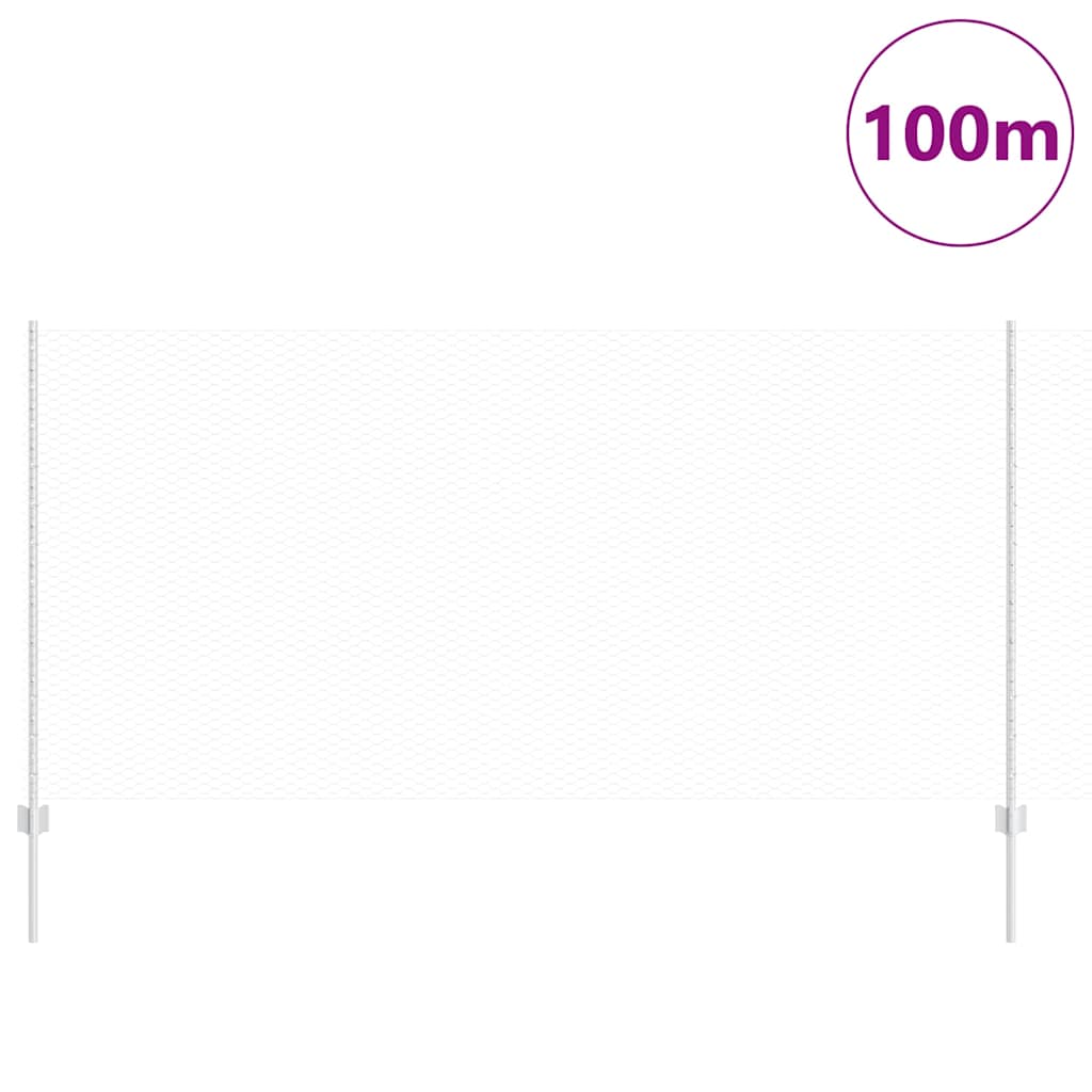 Recinzione con Posto Argento 1,2 x 100 m Acciaio