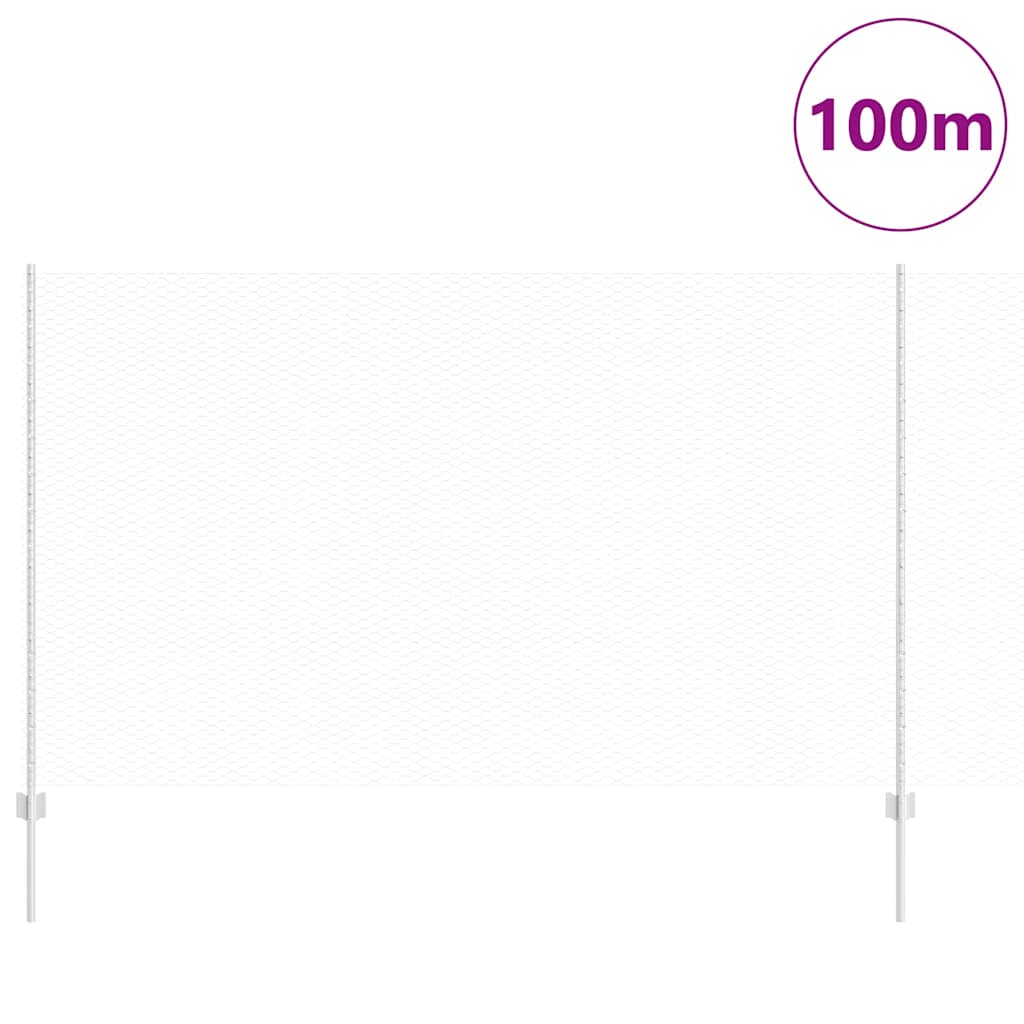 Recinzione con Posto Argento 1,4 x 100 m Acciaio